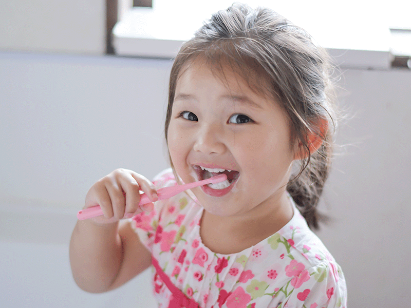 歯磨きがしやすい